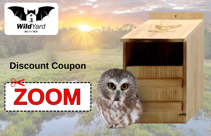 Wild Yard Promo Code -1