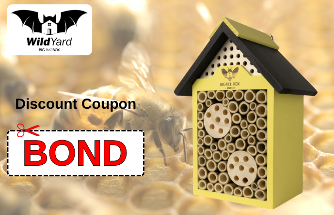 Wild Yard Promo Code -3